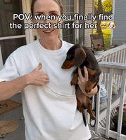 PawTee for Dogs — Small Dog Carrier Tee
